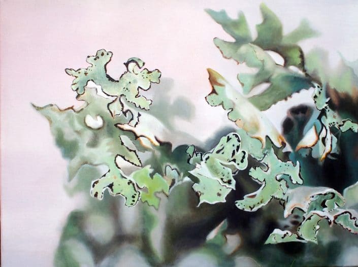 Sea Storm Lichen SeaStormLichen-MelanieMacDonald