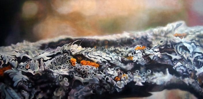 Lichen V Melanie MacDonald - Lichen V