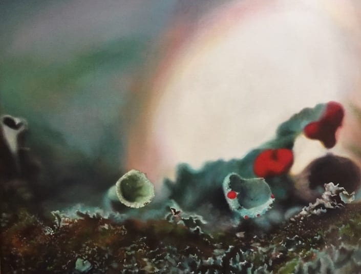 Forest Floor, Alice ON