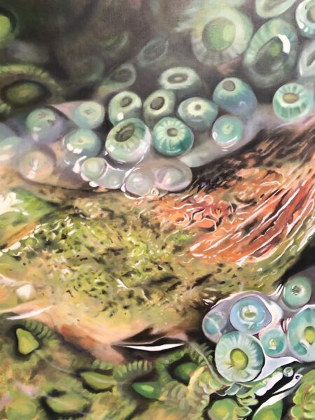 OTHER KINGDOMS NOVEMBER 2025