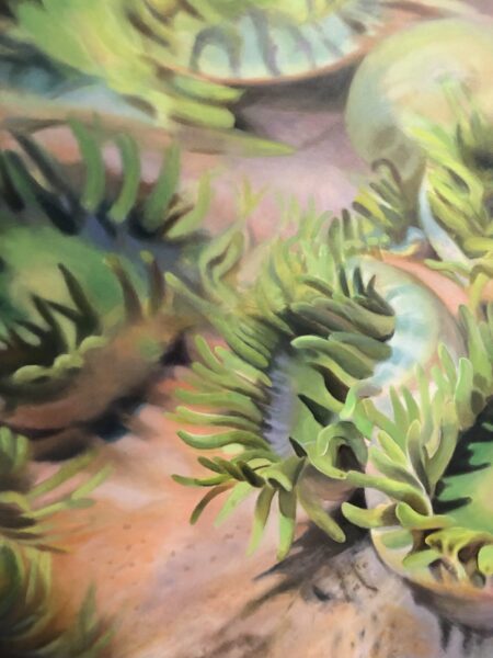 OTHER KINGDOMS NOVEMBER 2025