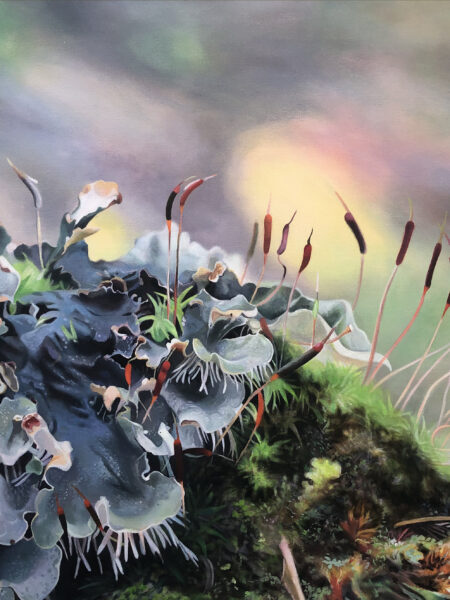 LICHENS & FOREST FLOOR