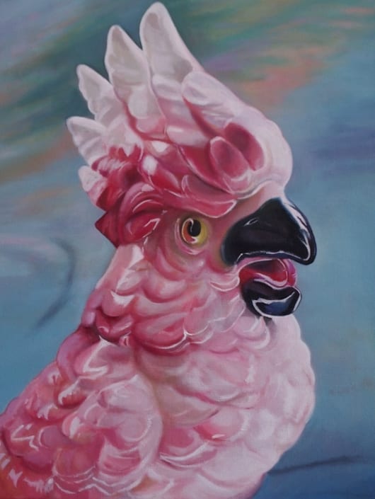 Pink Parrot Revisited